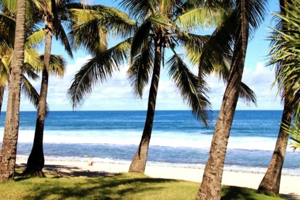 Maison De Vacances, Decouvrir Le Sud De La Reunion Petite Île المظهر الخارجي الصورة